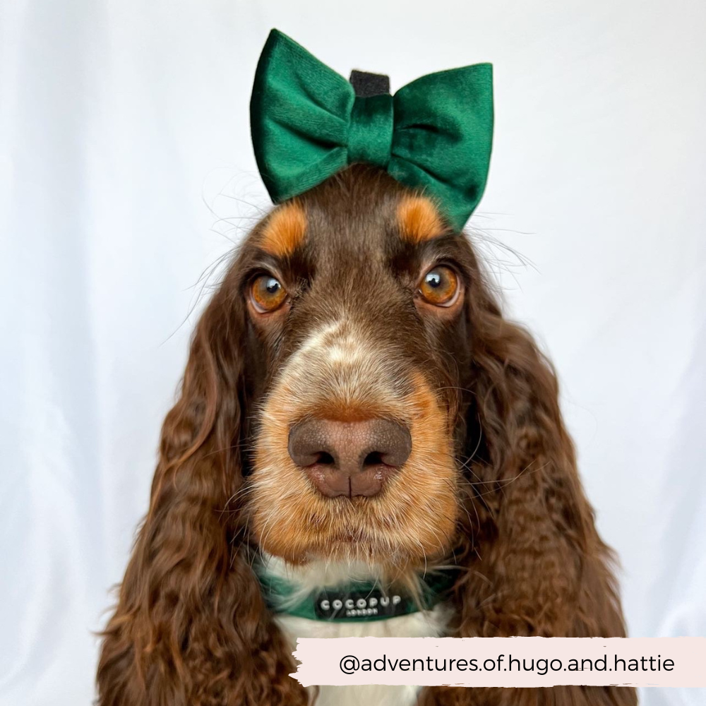 LUXE Velvet Bow Tie - Forest Green
