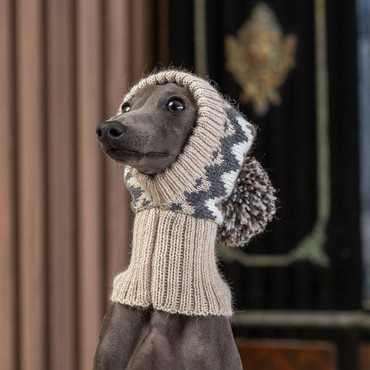 Woolly Winter Alpaca Dog Hat